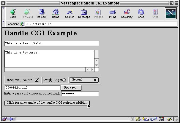 Handle CGI Example page